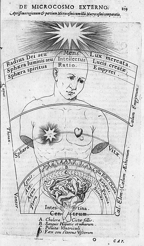 Fayl:Fludd-570.jpg