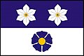 {{{rasmiy_nomi}}}ning bayrogʻi