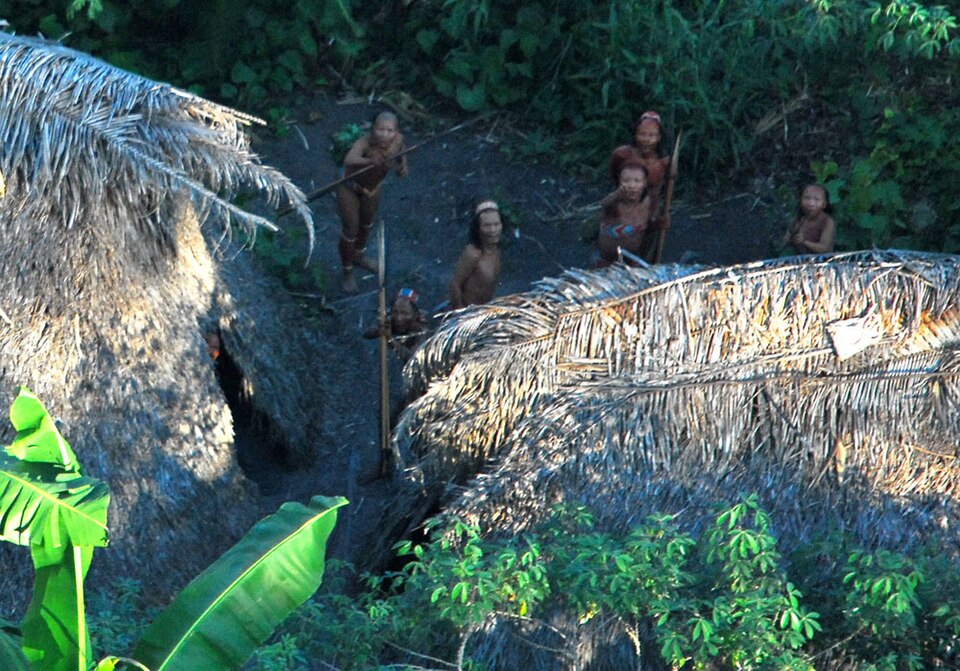 Fayl:Índios Isolados 6.jpg