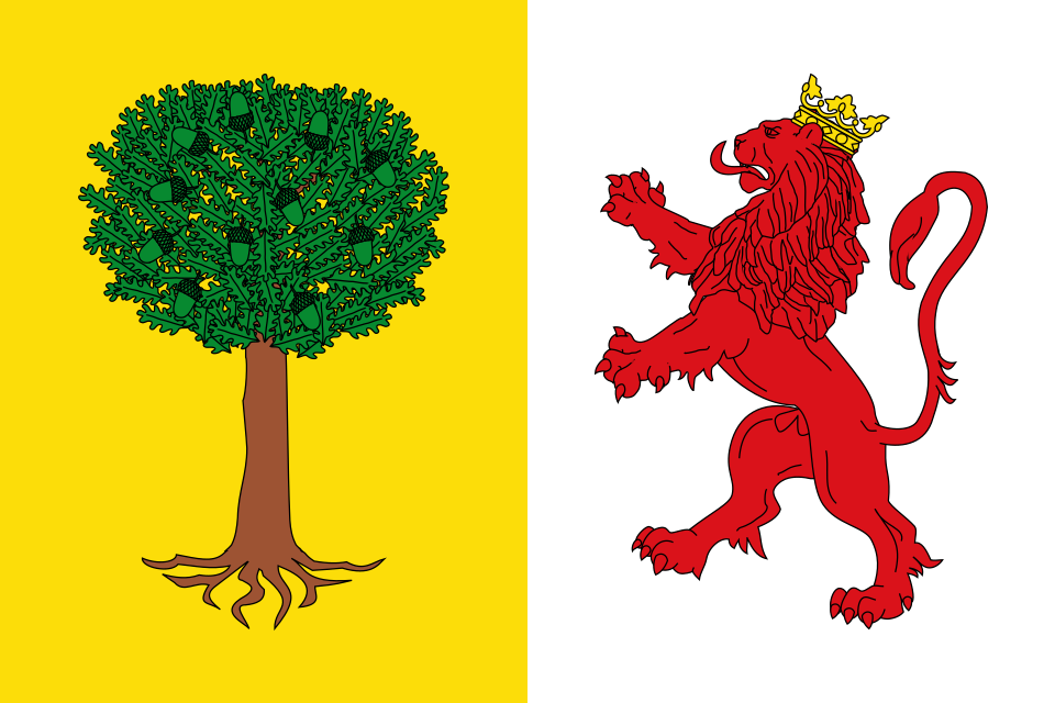 Fayl:Bandera de Cabezuela del Valle.svg