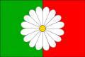 Flag of Valasska Senice