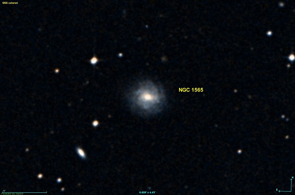 Fayl:NGC 1565 DSS.jpg