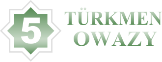 Fayl:Turkmenowazy logo.svg
