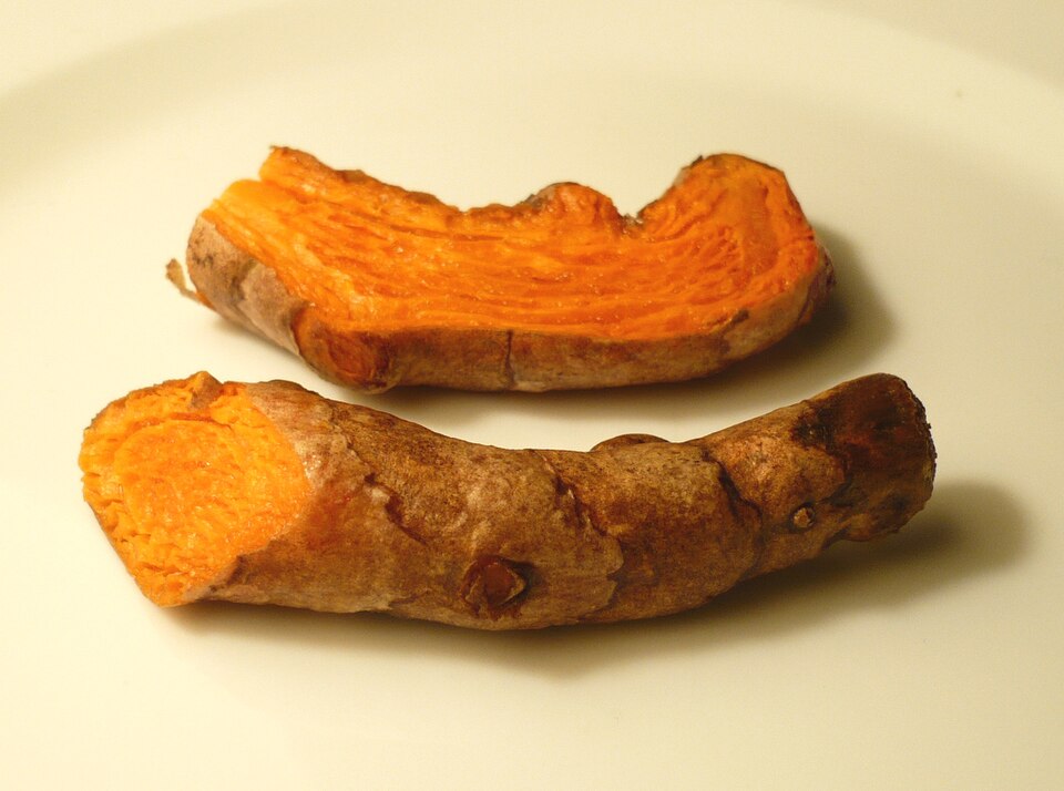 Fayl:Turmericroot.jpg