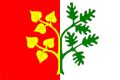 {{{rasmiy_nomi}}}ning bayrogʻi