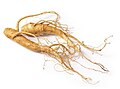 Madaniy koreys jenshen (P.ginseng)