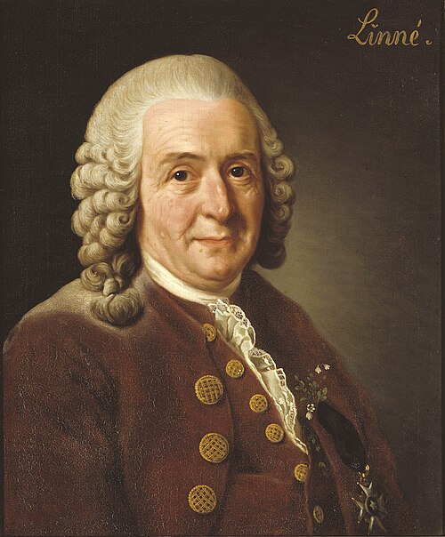 Fayl:Carl von Linné.jpg