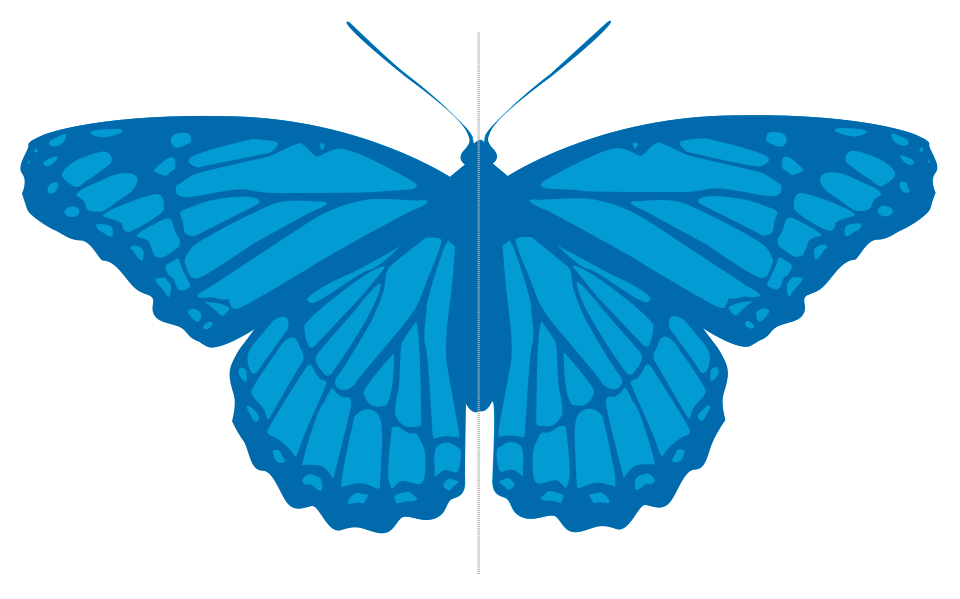 Fayl:Simetria-bilateria.svg