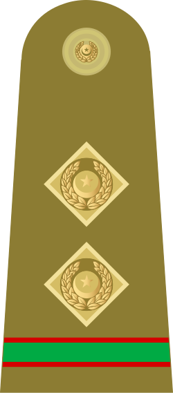 Fayl:09.Pakistan Army-MCWO.svg
