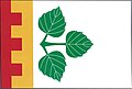 Flag of Březová