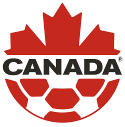 Shirt badge/Association crest