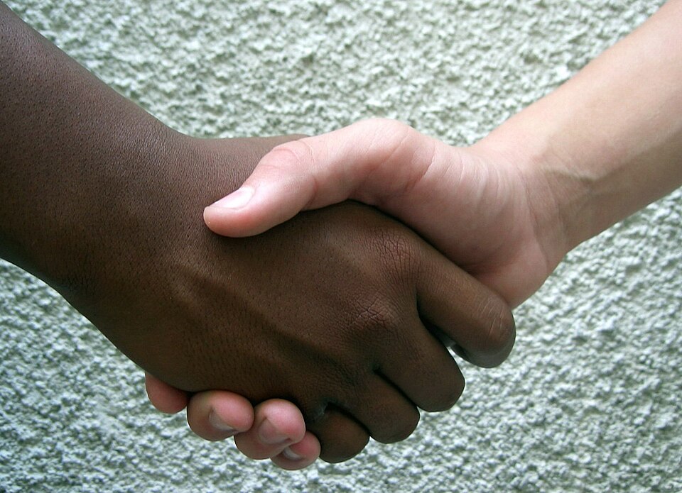 Fayl:Hermandad - friendship.jpg