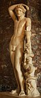 Apollon