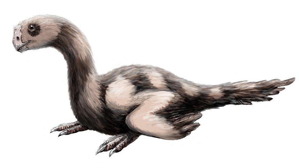 Fayl:Microvenator.jpg