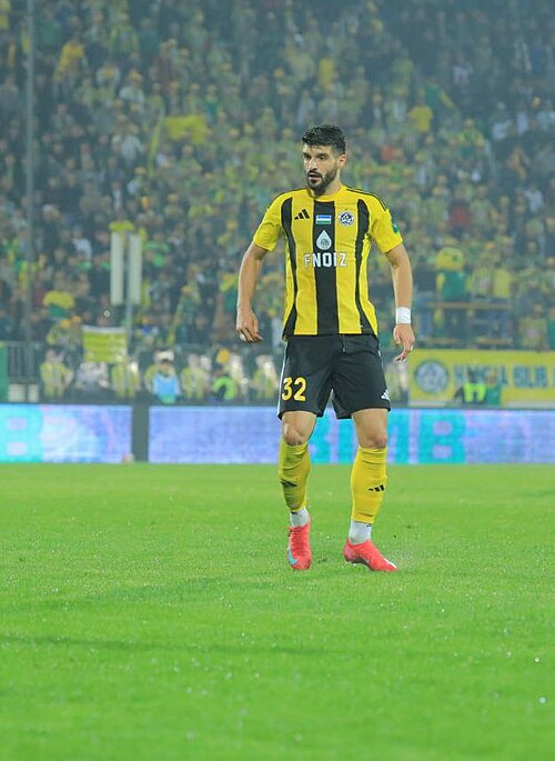 Fayl:Zoran Marušić.jpg