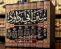 03:25, 2017-yil 4-noyabr dagi versiya uchun tasvir