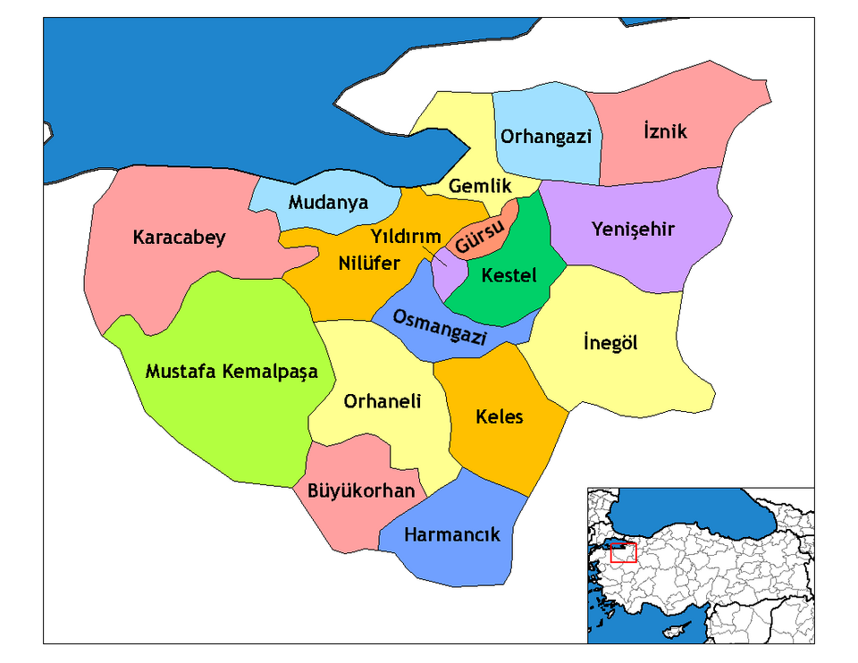 Fayl:Bursa districts.png