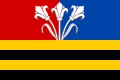 {{{rasmiy_nomi}}}ning bayrogʻi