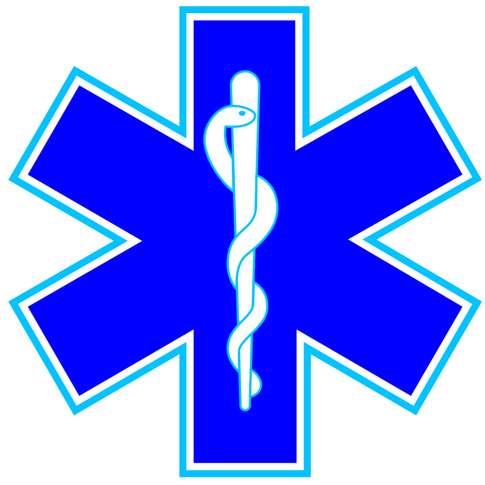 Fayl:Star of life3.svg