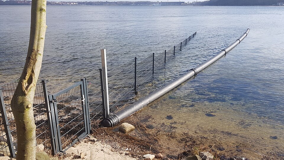 Fayl:Vildsvinehegnet, Flensborg Fjord.jpg
