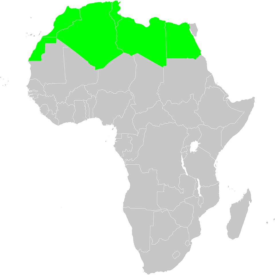Fayl:WGSRPD North Africa.jpg