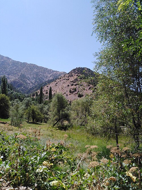 Fayl:Kitab davlat qo'riqxonasi fauna olami.jpg