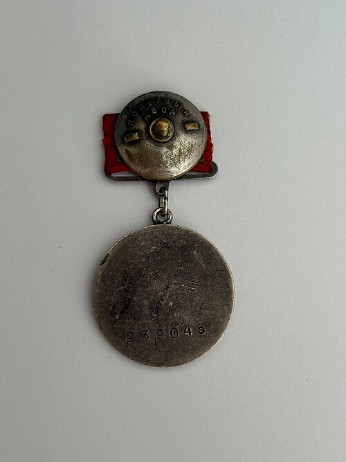 Fayl:Medal "For Courage" reverse.jpg