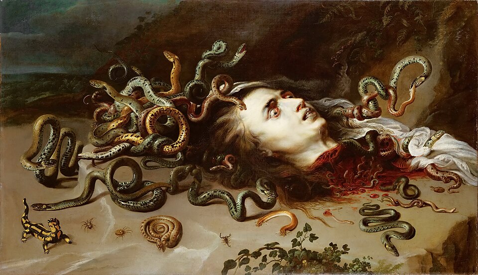 Fayl:Rubens Medusa.jpeg