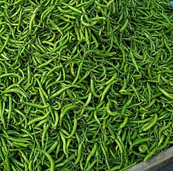Shimoliy Hindistondan yashil chilli. Ular koʻplab hind taomlarida ziravor sifatida ishlatiladi.