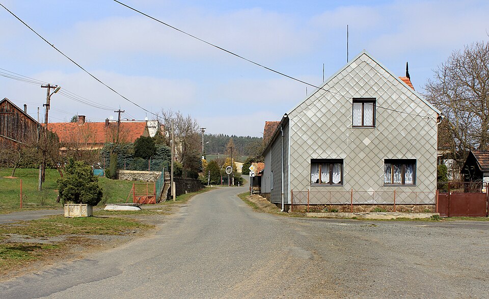 Fayl:Vidice, common, north part.jpg