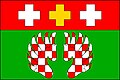 Flag of Žim