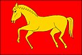 {{{rasmiy_nomi}}}ning bayrogʻi