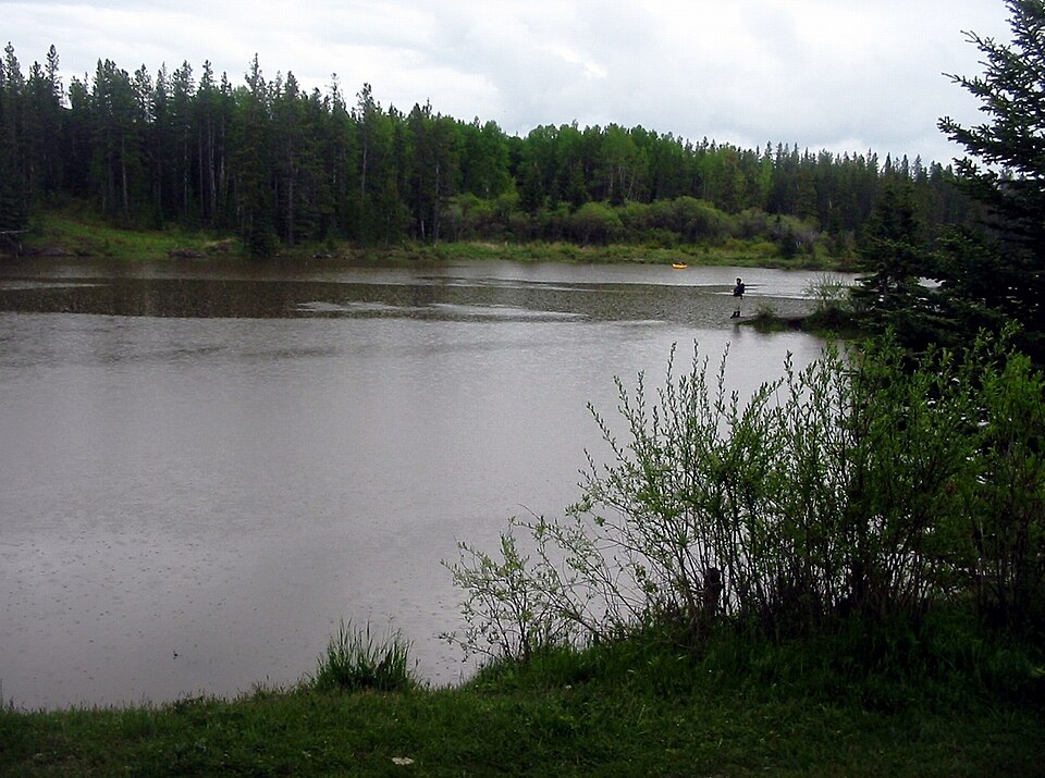 Fayl:Calgary-Edworthy Park.JPG