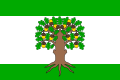Flag of Český Dub