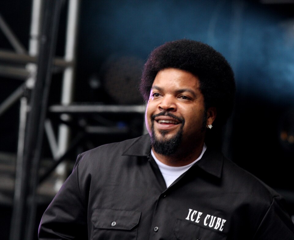 Fayl:Ice Cube (7080221135).jpg
