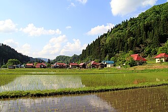 Aizu shahridagi guruch maydonlari. Yoz fasli.