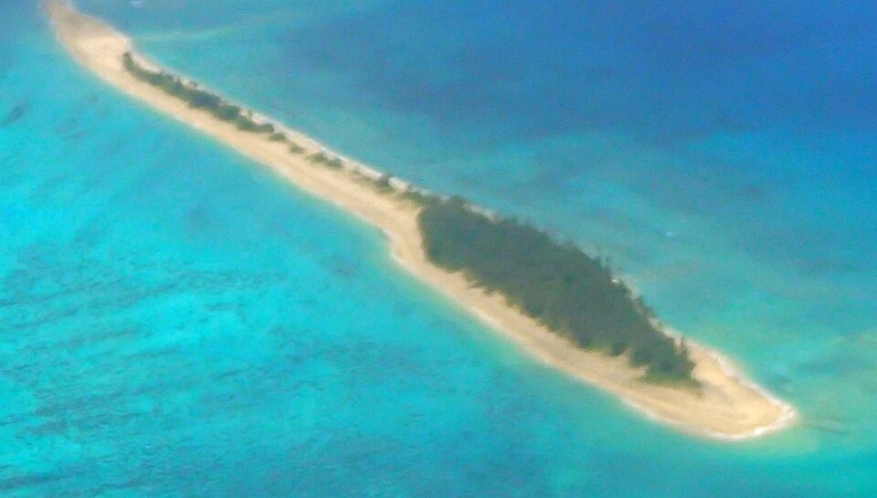 Fayl:Uonukuhahake (cropped).jpg