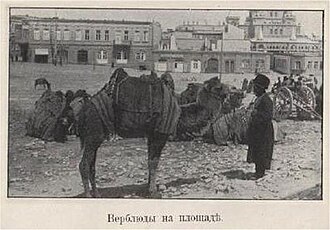 Nikolayevskaya maydonidagi tuyalar