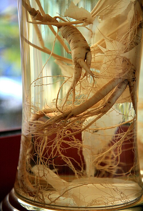 Fayl:Korea-Sokcho-Sansamju-Wild ginseng wine-02.jpg
