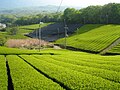 08:39, 2009-yil 2-noyabr dagi versiya uchun tasvir