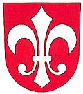 Čestín