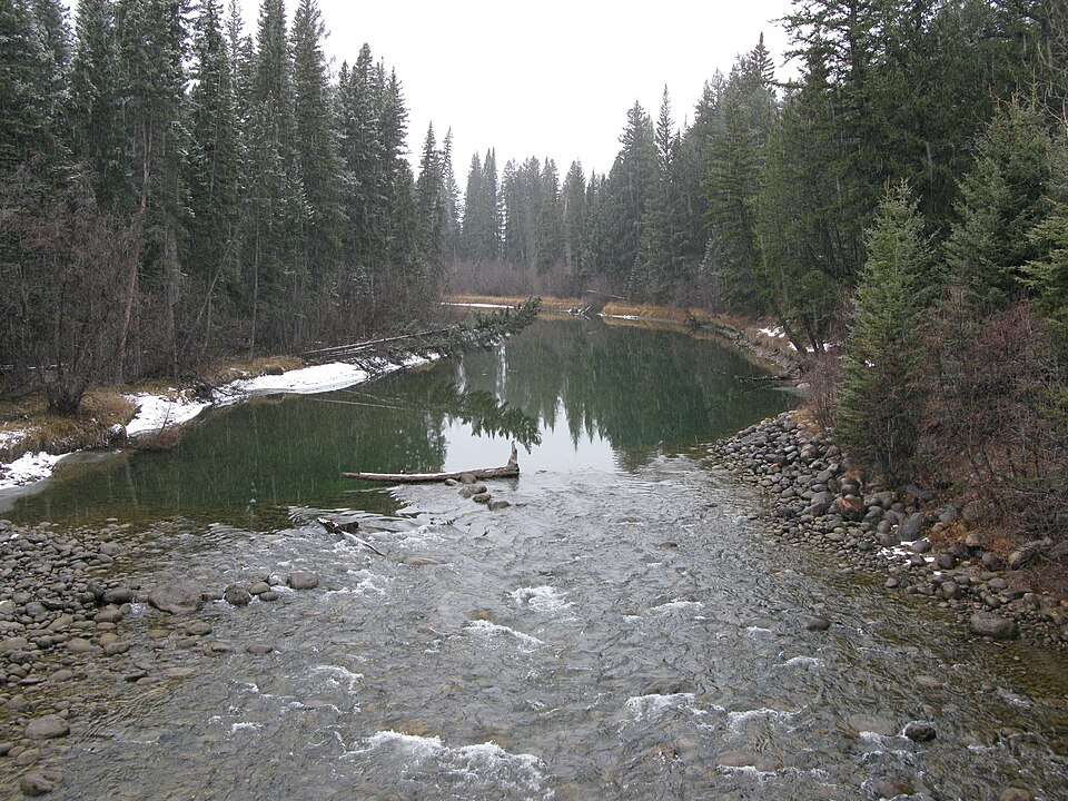 Fayl:Miette River JNP.JPG