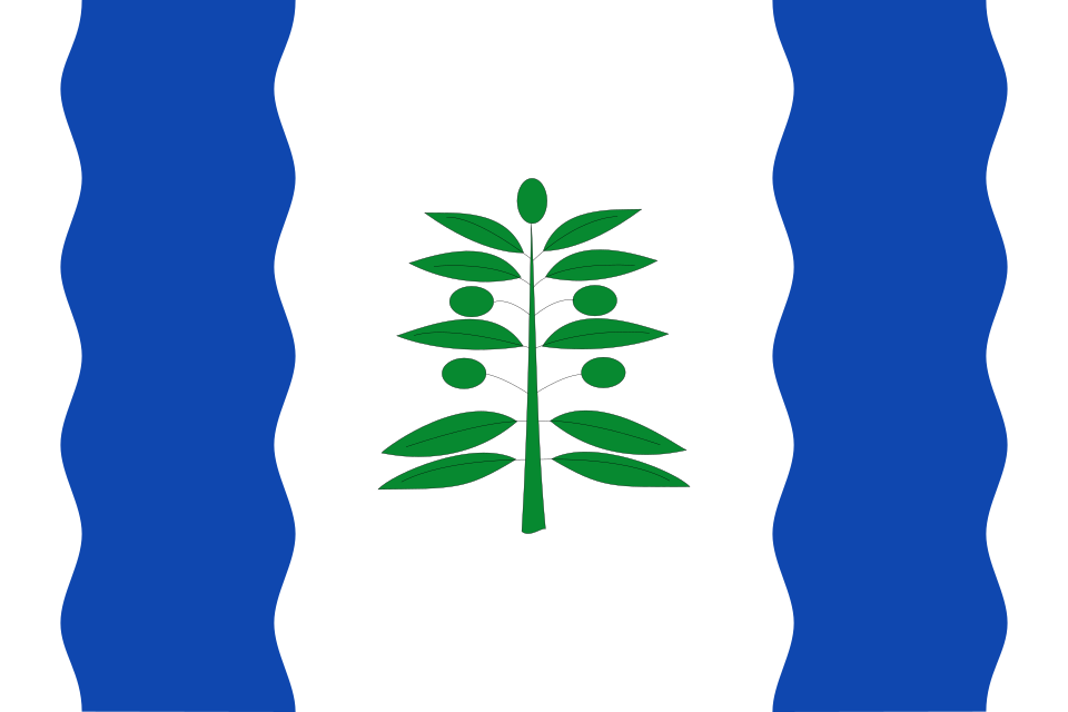 Fayl:Bandera de Cinco Olivas.svg