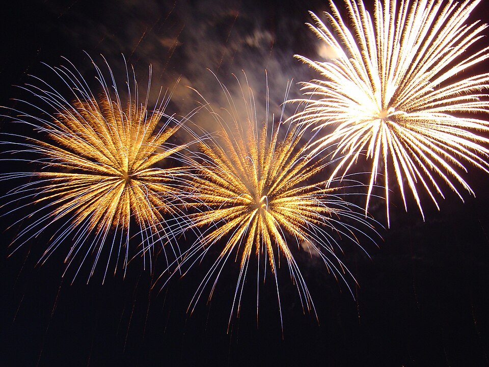 Fayl:Bratislava New Year Fireworks.jpg