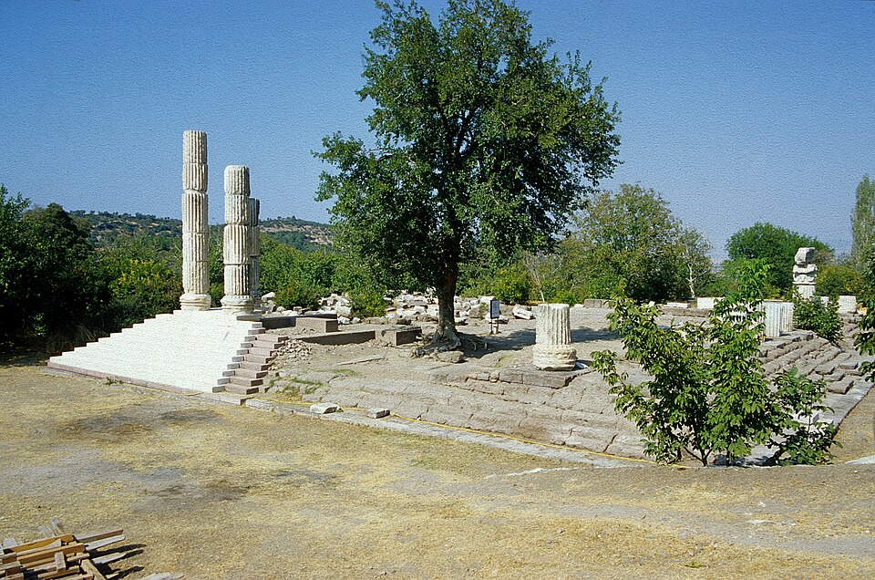 Fayl:Chryse.jpg