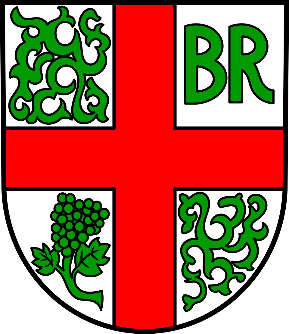 Fayl:DEU Briedel COA.svg