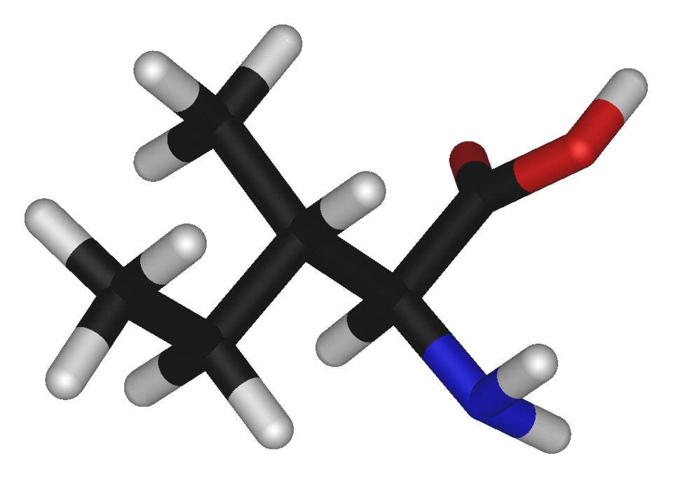Fayl:L-isoleucine-3D-sticks2.png