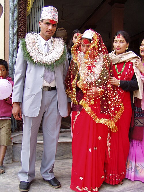 Fayl:Narayangarh-52.JPG