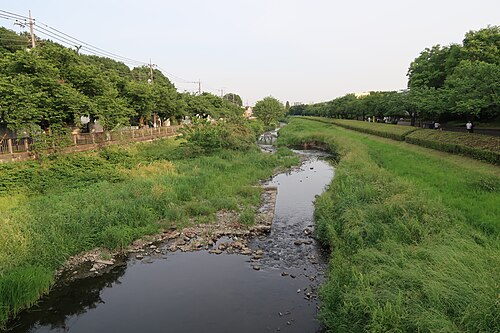 Nogava daryosi, Kitami (Setagaya), 2016-yil may