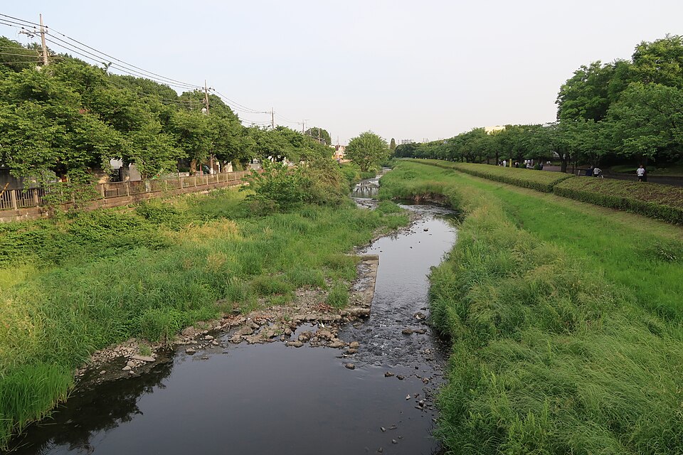 Fayl:NogawaRiverinKitami.jpg